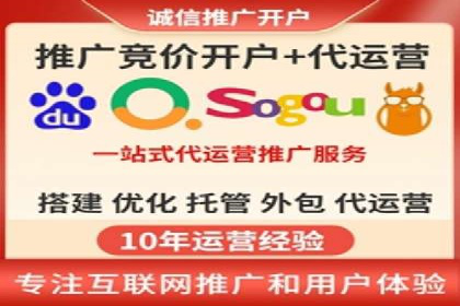SEM搜索引擎优化成功案例，揭示优化策略与技巧